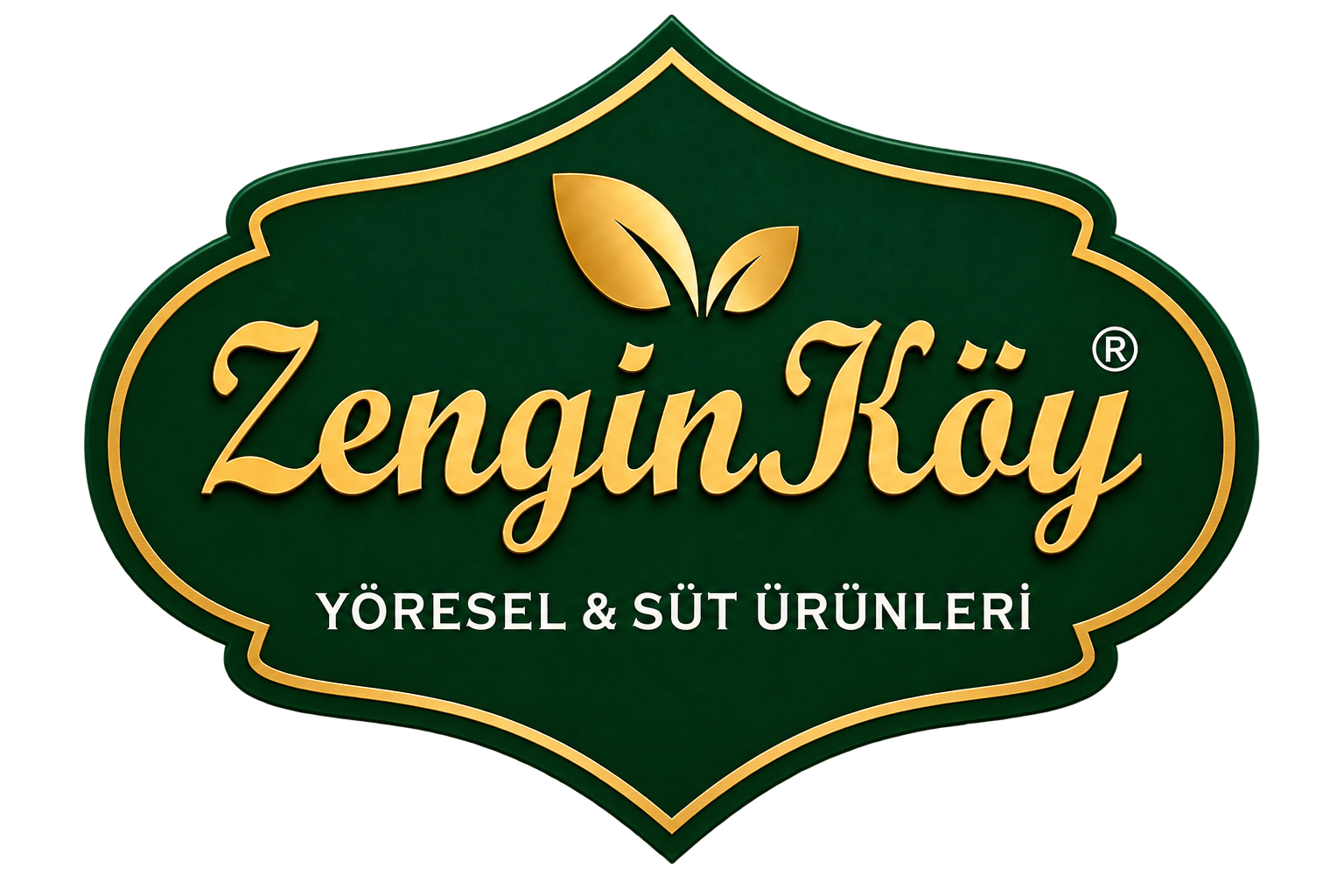 Zengin Köy logosu